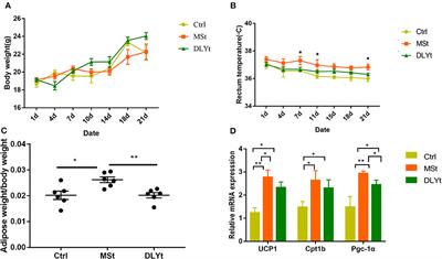 Effect of Different Pig Fecal Microbiota Transplantation on Mice Intestinal Function and Microbiota Changes During Cold Exposure